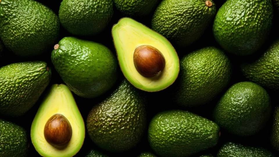 Buy Avocado Online in India