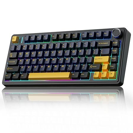 Premium Wireless Mechanical Keyboard